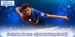Cá cược bóng bàn 8xbet - Luật chơi và các loại kèo cơ bản