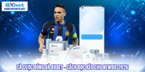 8XBET tự hào là sân chơi cá cược bóng đá nổi bật