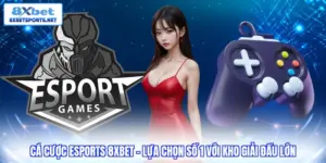 Cá cược Esports 8XBET - Lựa chọn số 1 với kho giải đấu lớn