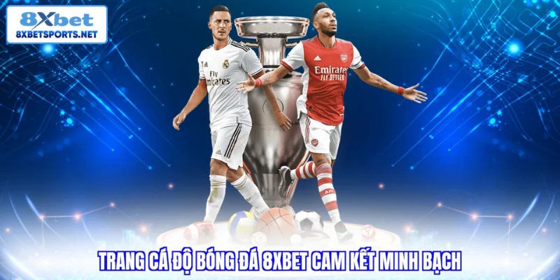 Trang cá độ bóng đá 8XBET cam kết minh bạch